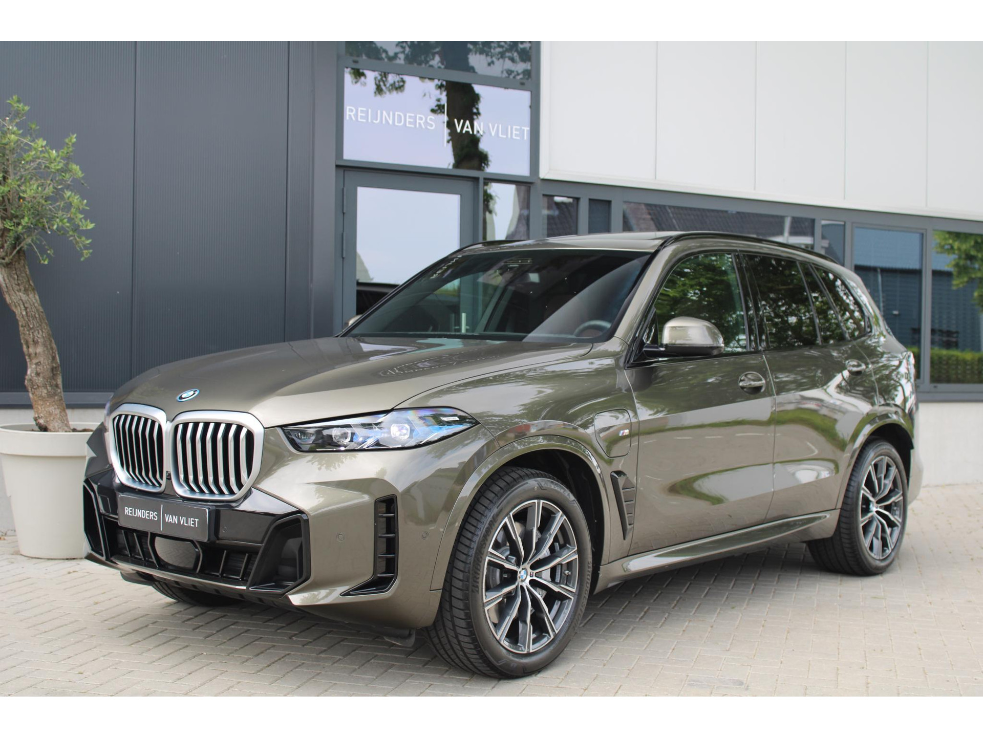 54392273